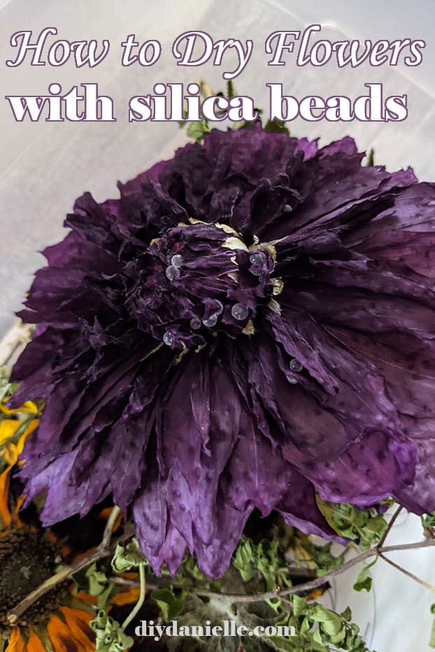 How to Dry Flowers with Silica Gel - DIY Danielle®